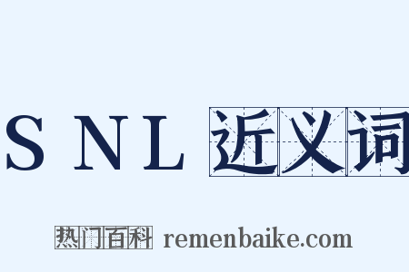 SNL近义词是什么意思的图片